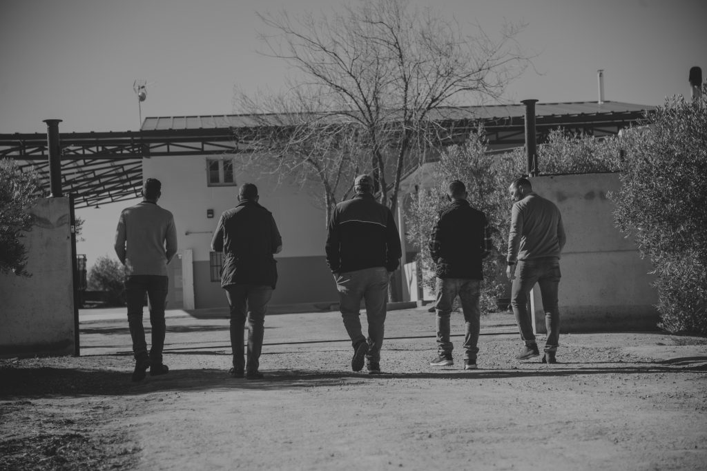 personas-caminando-por-el-campo