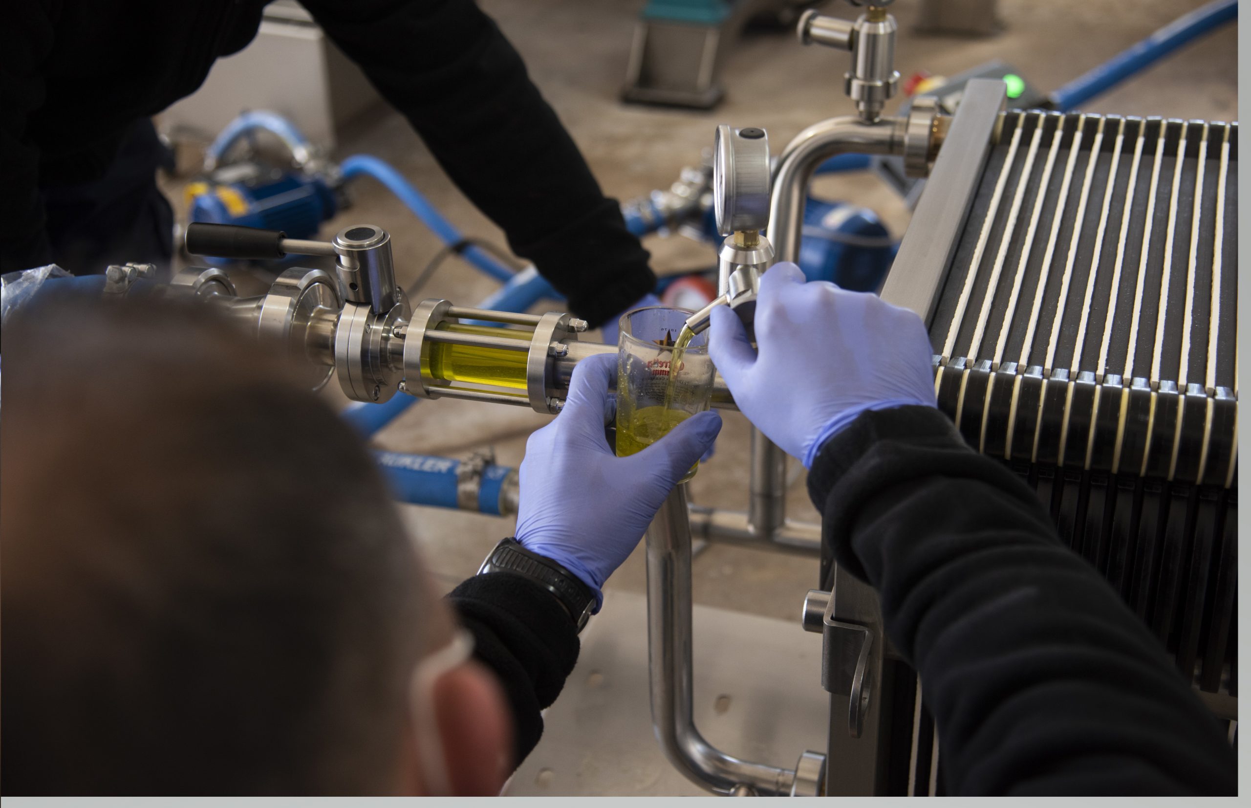 filtracion-de-aceite-de-oliva